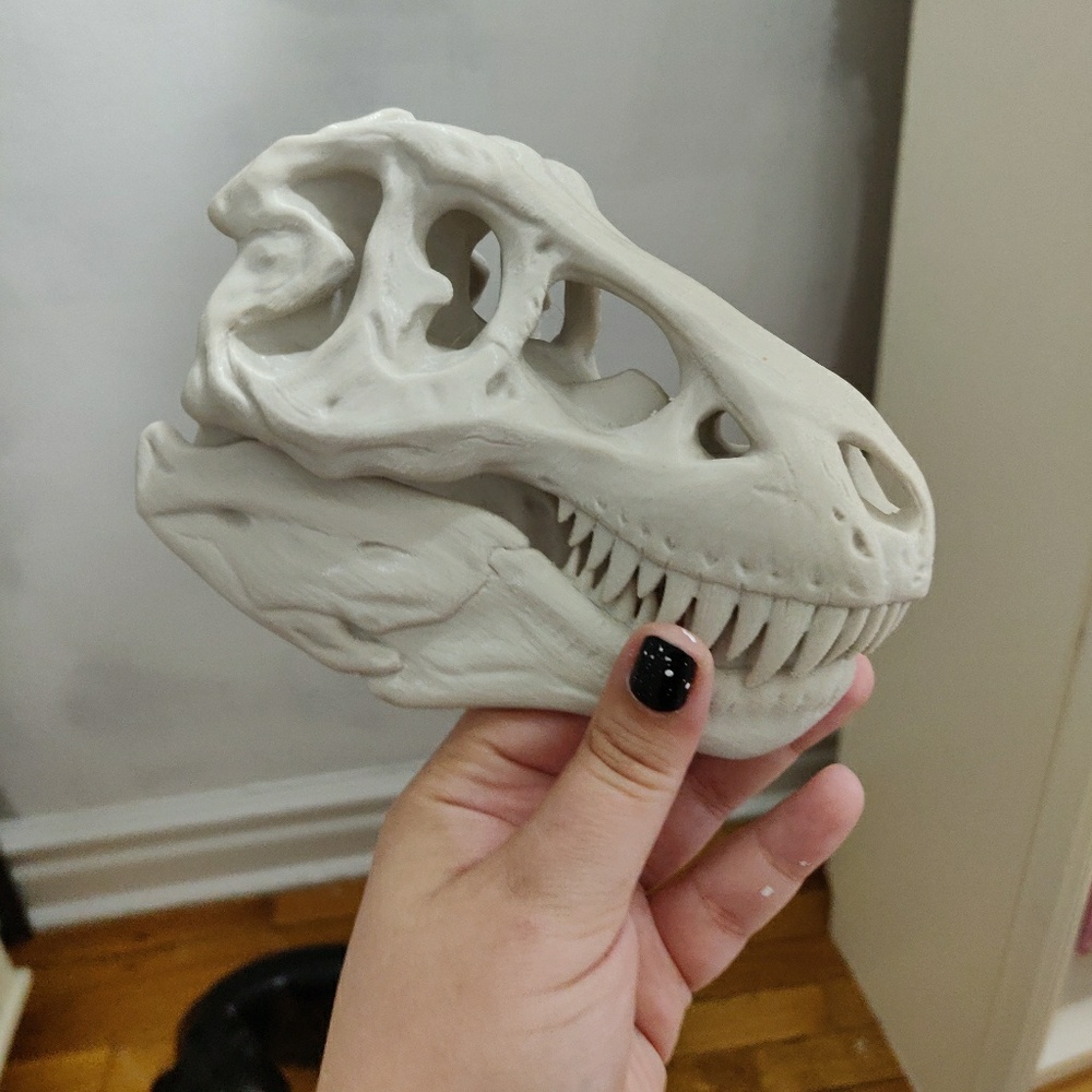 T-Rex skull